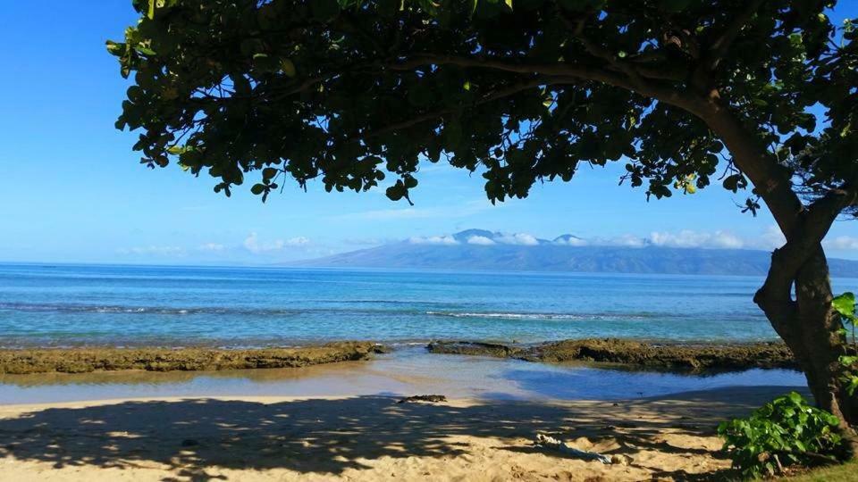 Lahaina Wonderful Condos Εξωτερικό φωτογραφία